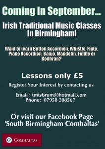 Irish Traditional Music Lessons