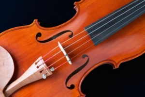 Leeds Violin & Fiddle Workshop