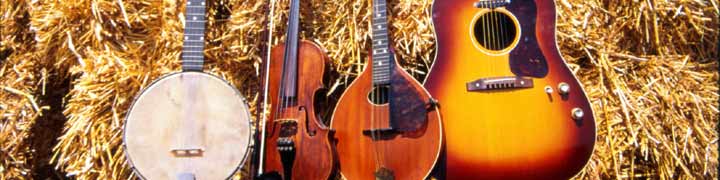 Stringed and Fretted Folk Instruments