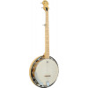 Ashbury AB-65-5 5 String Banjo, Maple Resonator