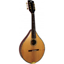 Ashbury Style S Celtic Mandolin, Solid Spruce
