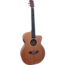 Ashbury Lindisfarne Tenor Guitar, Solid Cedar