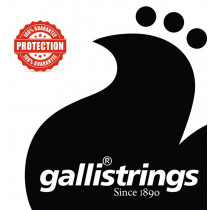Galli LS1659 Resophonic Guitar Set.G Tuning