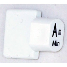 Ashbury Replacement Am Autoharp Key