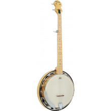 Ashbury AB-65-5 5 String Banjo, Maple Resonator