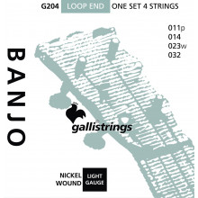 Galli G204 Jazz Tenor Banjo