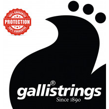 Galli GR6504 Classical Guitar D String