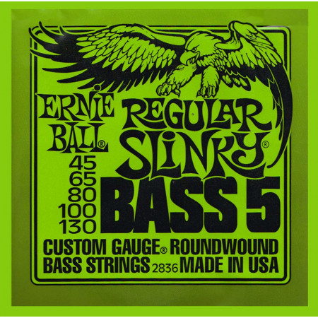 Ernie Ball P02836 Regular Slinky 5st Bass String