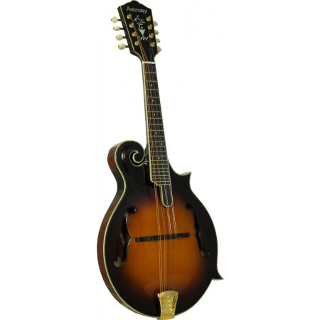 Ashbury AM-520 F Style Bluegrass Mandolin