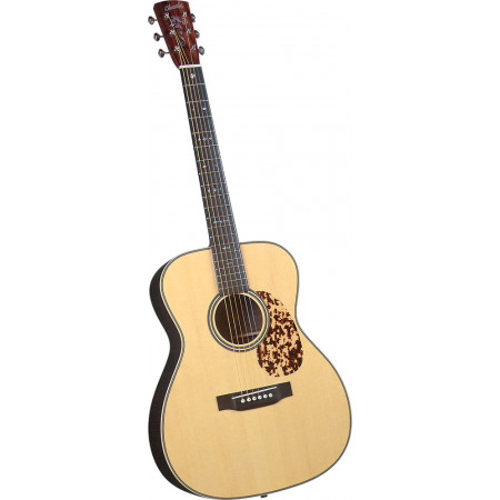 Blueridge BR-263 000 Acoustic Guitar