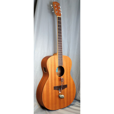 B STOCK: Ashbury AG-30M-E Electro Guitar, Issues