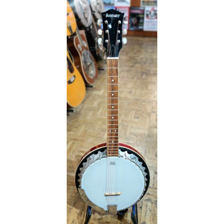 Ashbury AG-35 guitar banjo - very good condition with bag
